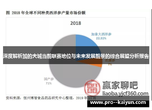 深度解析加的夫城当前联赛地位与未来发展前景的综合展望分析报告 深度解析加的夫城当前联赛地位与未来发展前景的综合展望分析报告