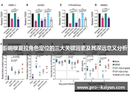 影响穆夏拉角色定位的三大关键因素及其深远意义分析
