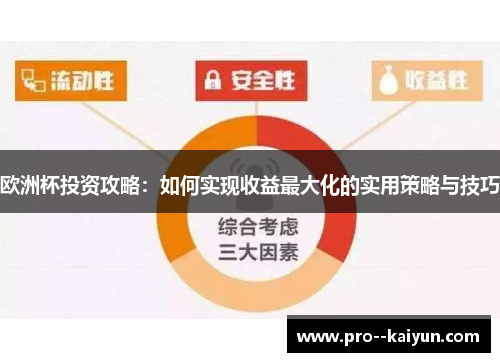 欧洲杯投资攻略:如何实现收益最大化的实用策略与技巧 欧洲杯投资攻略:如何实现收益最大化的实用策略与技巧