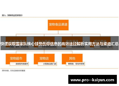 快速获取国家队核心球员伤停信息的高效途径解析实用方法与渠道汇总 快速获取国家队核心球员伤停信息的高效途径解析实用方法与渠道汇总
