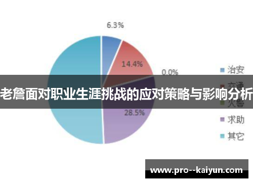 老詹面对职业生涯挑战的应对策略与影响分析