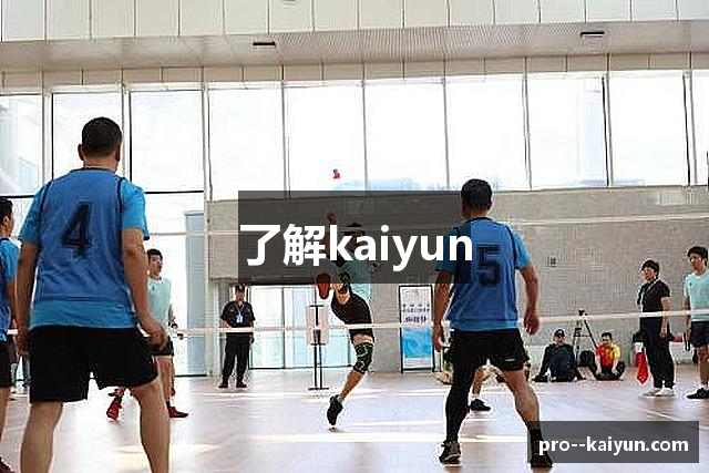 了解kaiyun